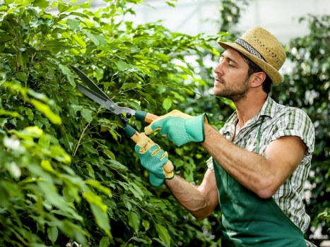 Maintenance crew pruning and tidying a communal Hackney garden space